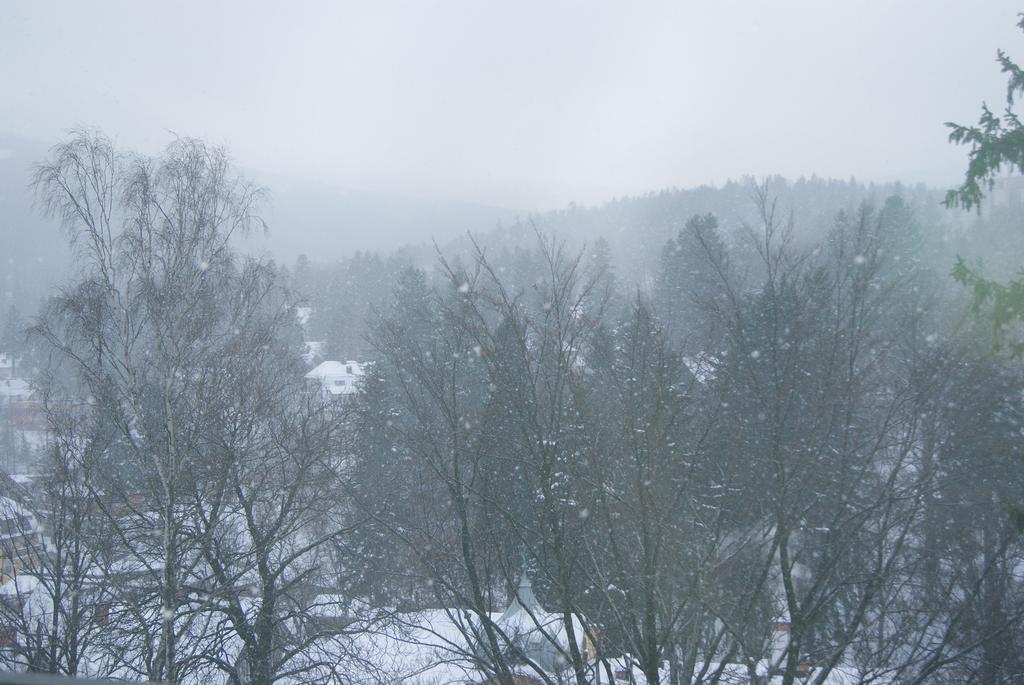 Villa Avangarda Szklarska Poręba Rum bild